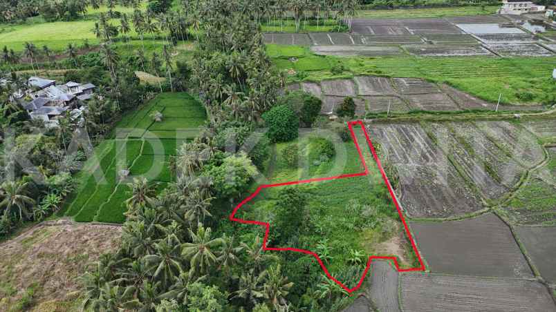 dijual tanah lodtunduh ubud view sawah los sungai