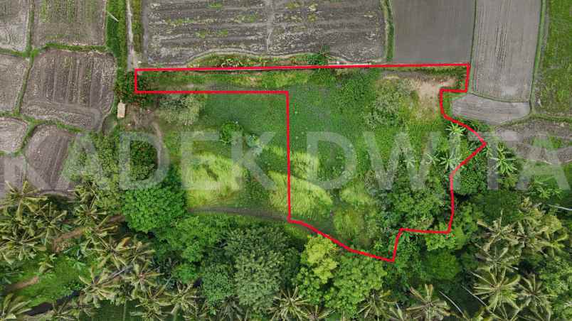 dijual tanah lodtunduh ubud view sawah los sungai