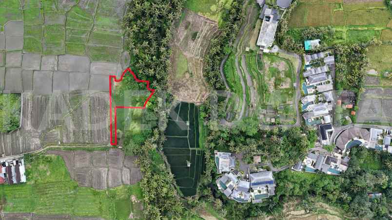 dijual tanah lodtunduh ubud view sawah los sungai