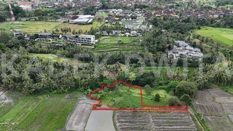 dijual tanah lodtunduh ubud view sawah los sungai