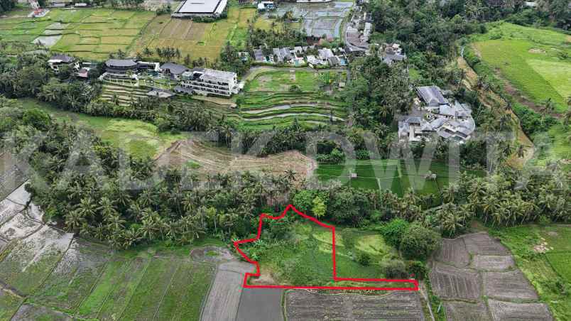 dijual tanah lodtunduh ubud view sawah los sungai