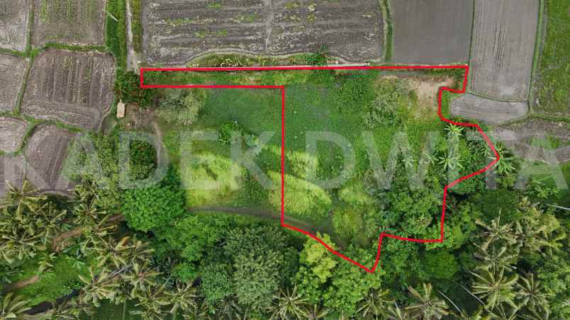 dijual tanah lodtunduh ubud view sawah los sungai