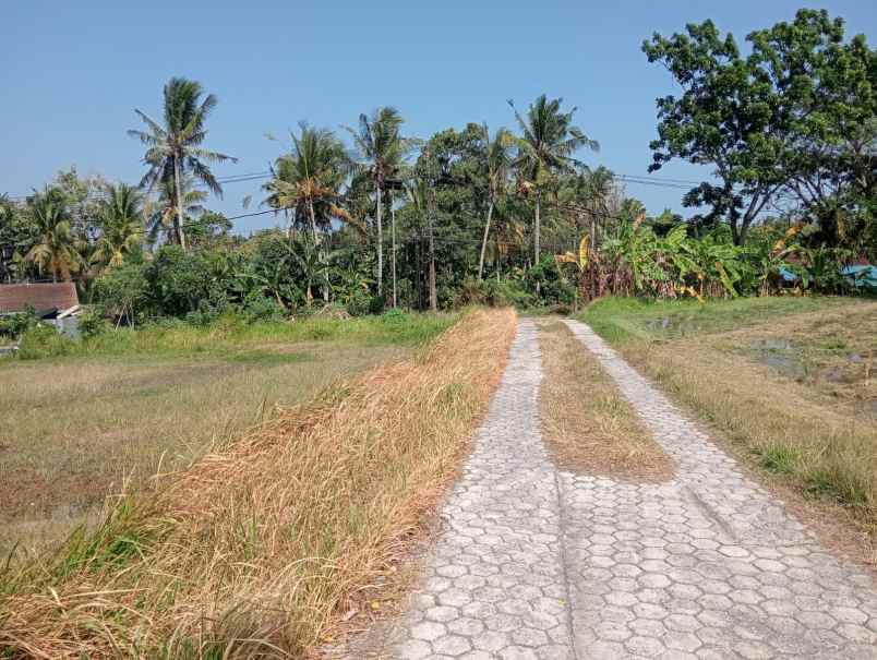 dijual tanah lokasi strategis siap bangun view sawah