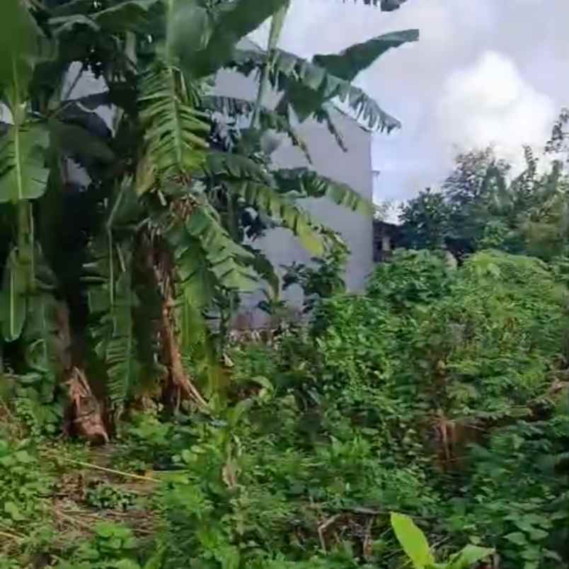dijual tanah muding gatsu barat
