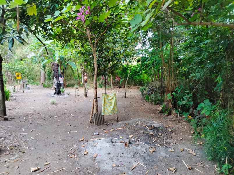 dijual tanah ngaglik sleman yogyakarta