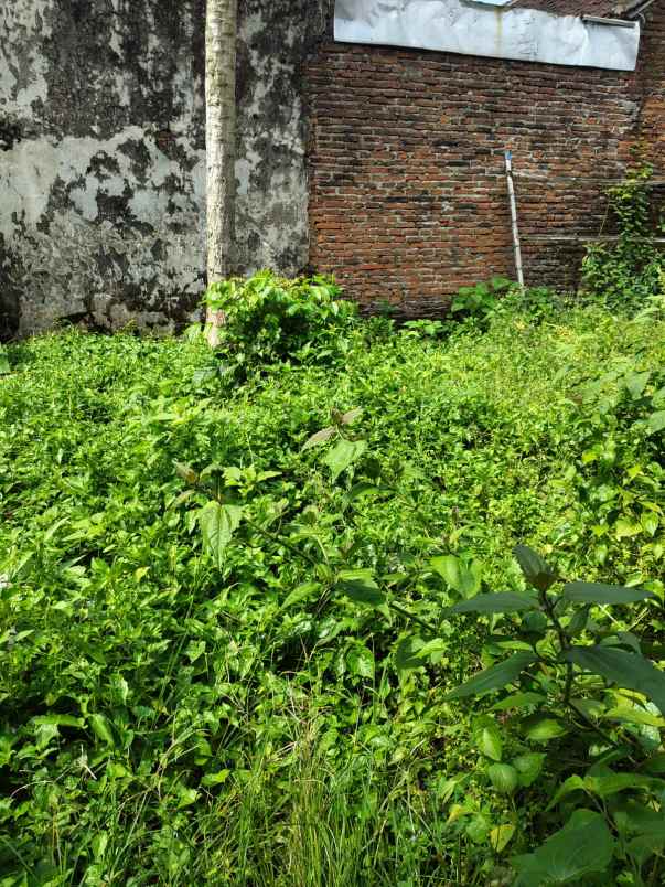 dijual tanah pekarangan rumah kendalpayak malang