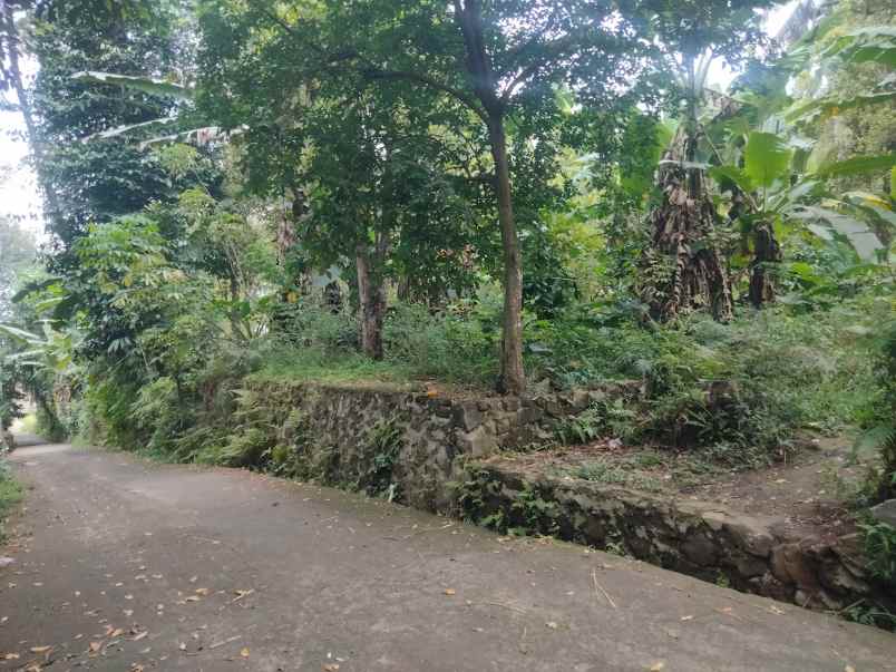 dijual tanah pinggir jalan udara sejuk pegunungan