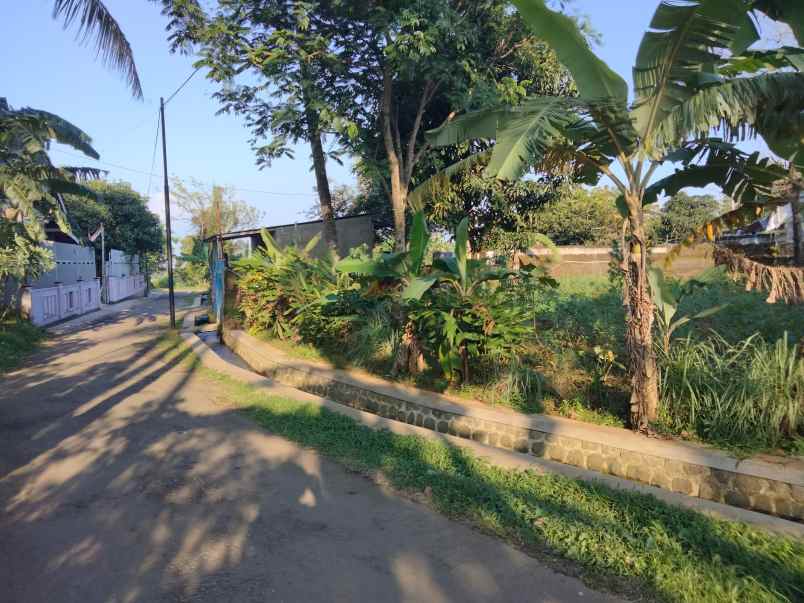 dijual tanah pinggir jl desa di cilimus kuningan