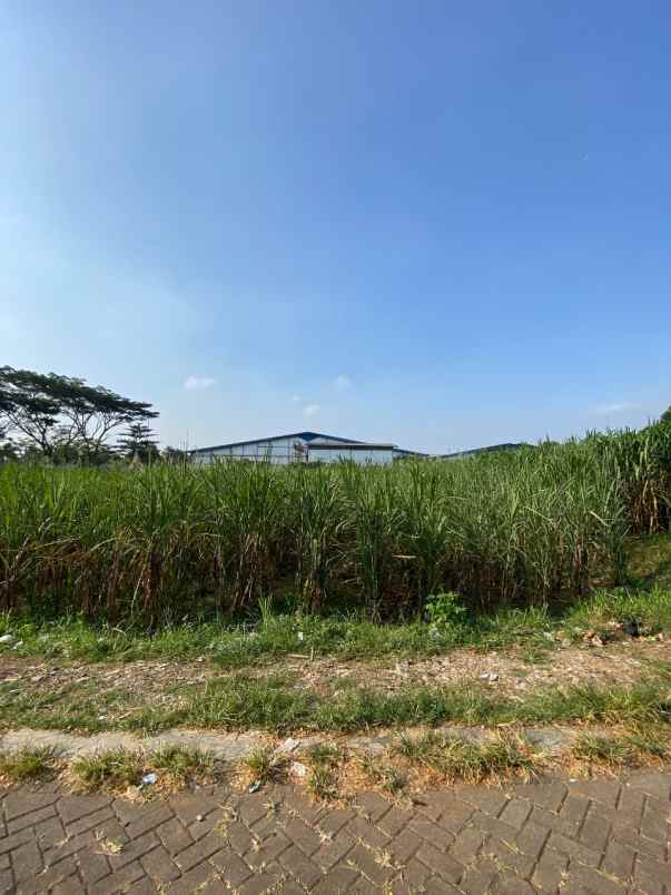 dijual tanah randuagung