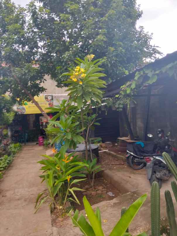 dijual tanah residensial di jalan joe kelapa tiga