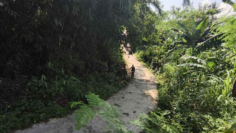 dijual tanah tegal waru kabupaten bogor