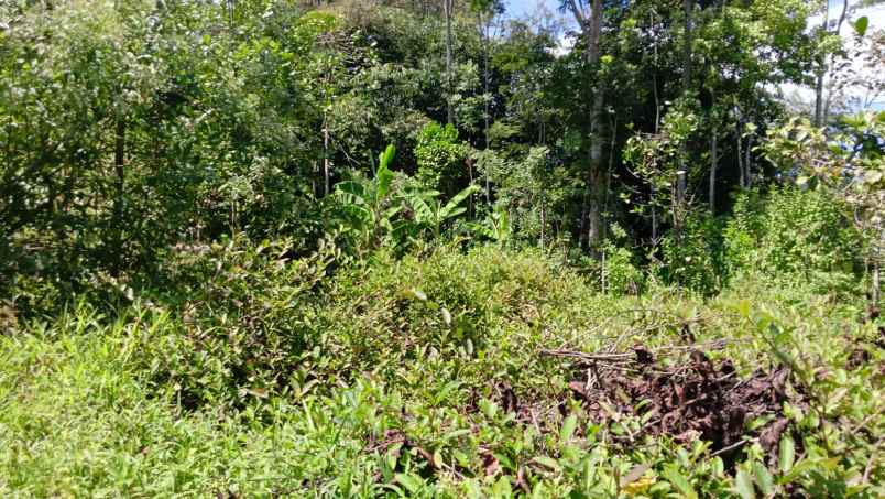 dijual tanah tengaran