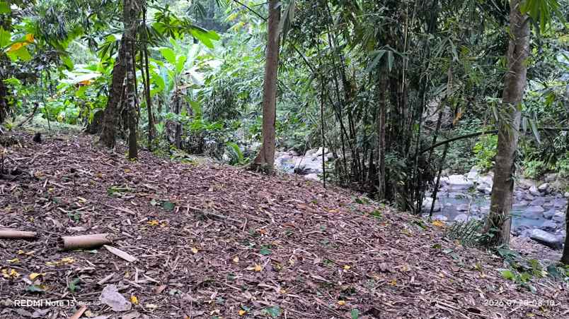 dijual tanah wanagiri selemadeg tabanan
