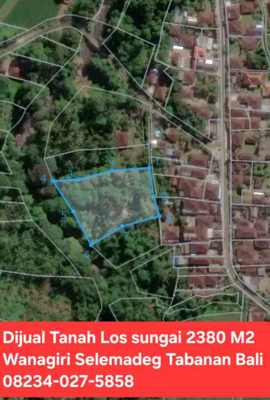 dijual tanah wanagiri selemadeg tabanan