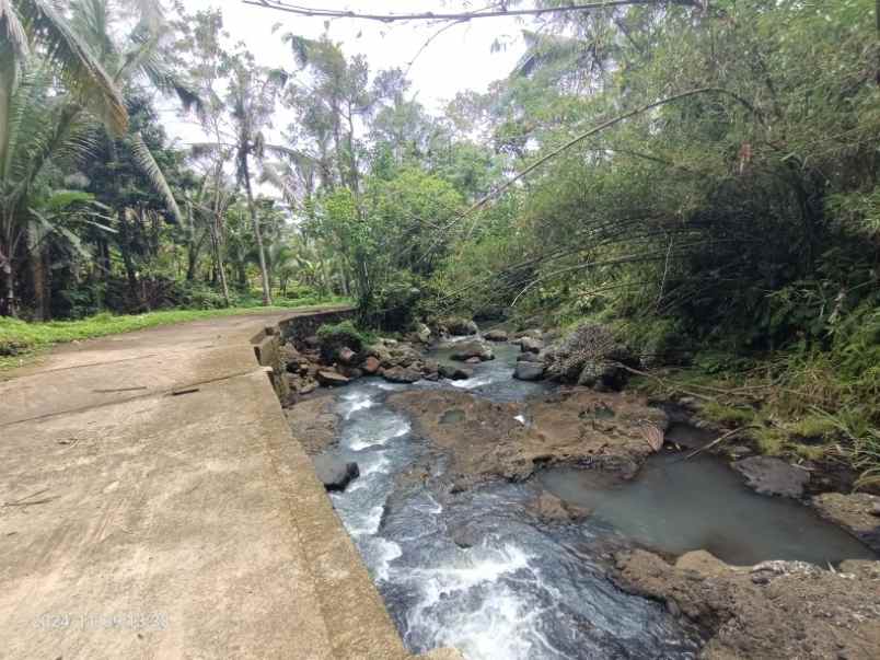 disewakan tanah view sawah di selemadeg tabanan bali