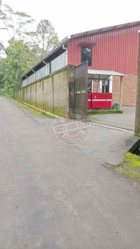 gudang kantor mess peternakan ayam di boyolali