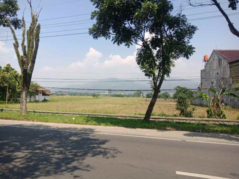 jual tanah jln propinsi aset