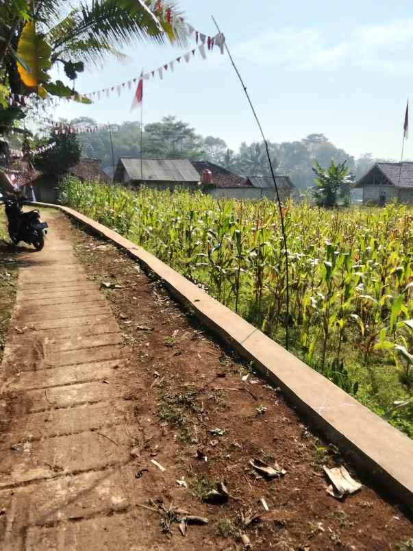 jual tanah kebun sawah