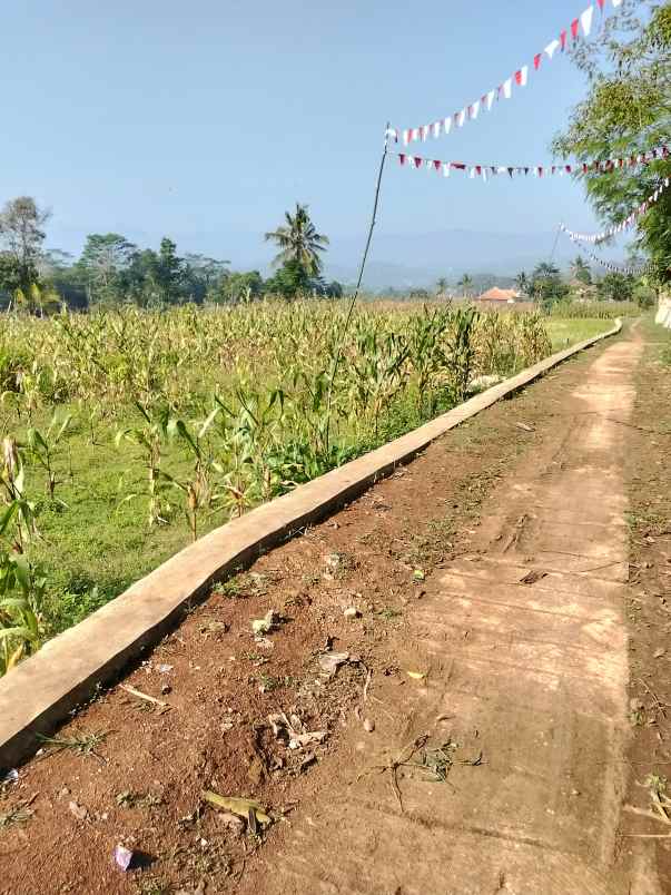 jual tanah kebun sawah