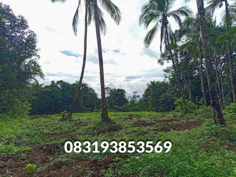 jual tanah murah pandeglang banten
