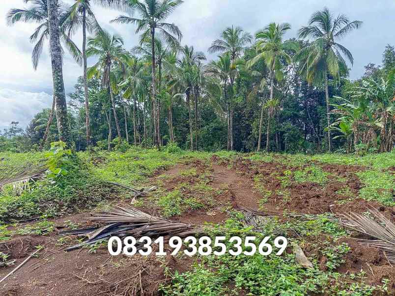 jual tanah murah pandeglang banten