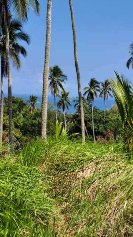 jual tanah murah view laut di kawasan pantai balian