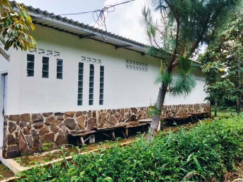 jual villa dan kebun durian