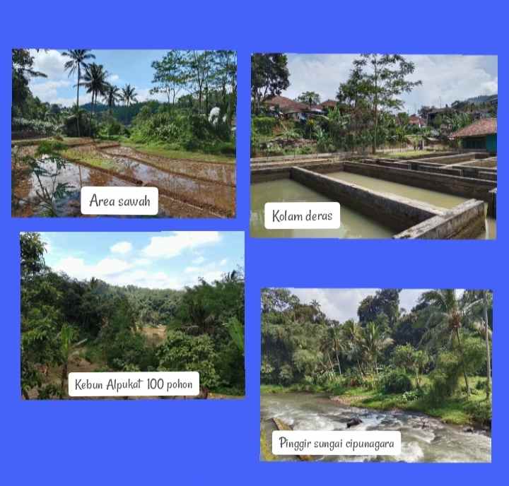 lahan kebun produktif strategis kolam ikan subang