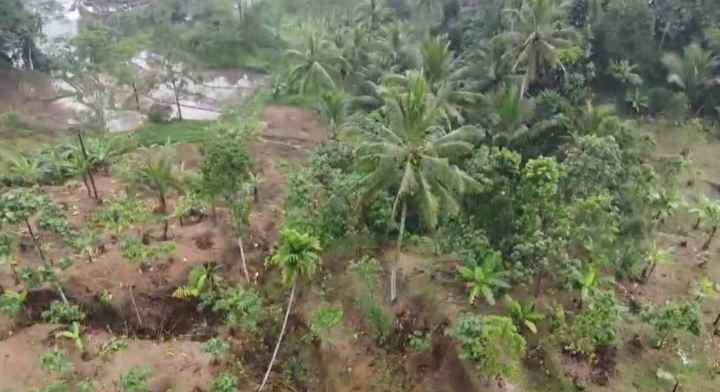 lahan kebun produktif strategis kolam ikan subang