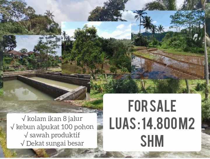 lahan kebun produktif strategis kolam ikan subang