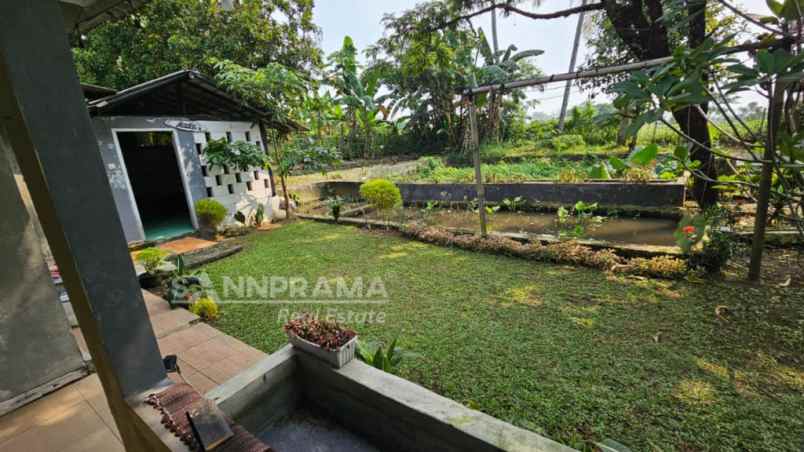 rumah kebun tanah luas di ciampea bogor strsn