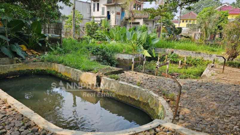 rumah kebun tanah luas di ciampea bogor strsn