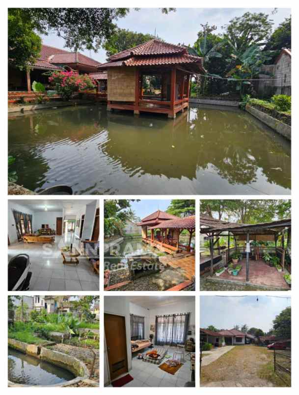 rumah kebun tanah luas di ciampea bogor strsn
