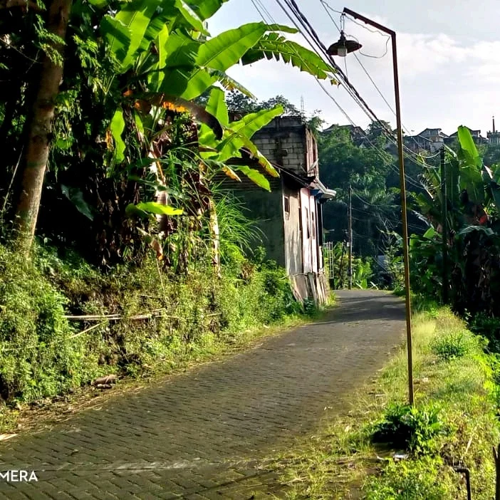 rumah lumbang kuajan gg sono