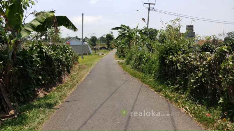 tanah ciater palasari cagak