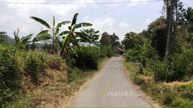tanah ciater palasari cagak