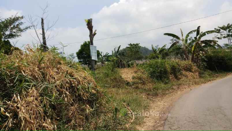 tanah ciater palasari cagak