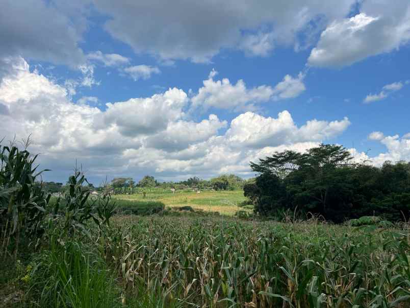 tanah datar strategis 2885m dekat karanganyar kota