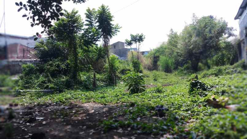 tanah garuda rajawali