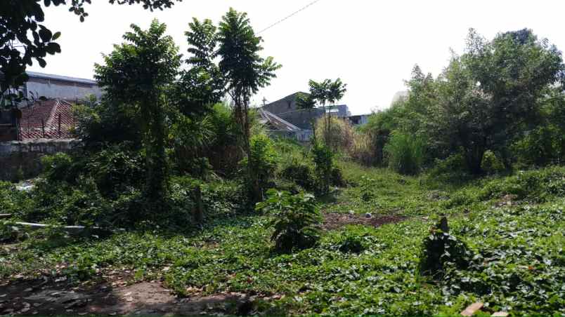 tanah garuda rajawali