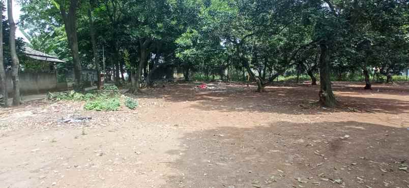 tanah jl kemuning bojong menteng