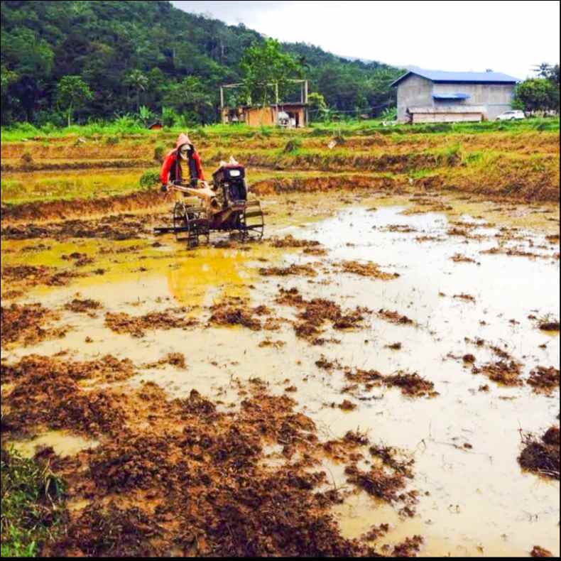 tanah jl raya cigudeg bogor