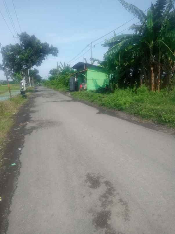 tanah jl sumberharjo pemalang ds