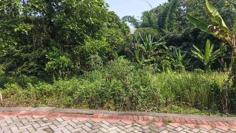tanah kavling murah kuripan mijen semarang