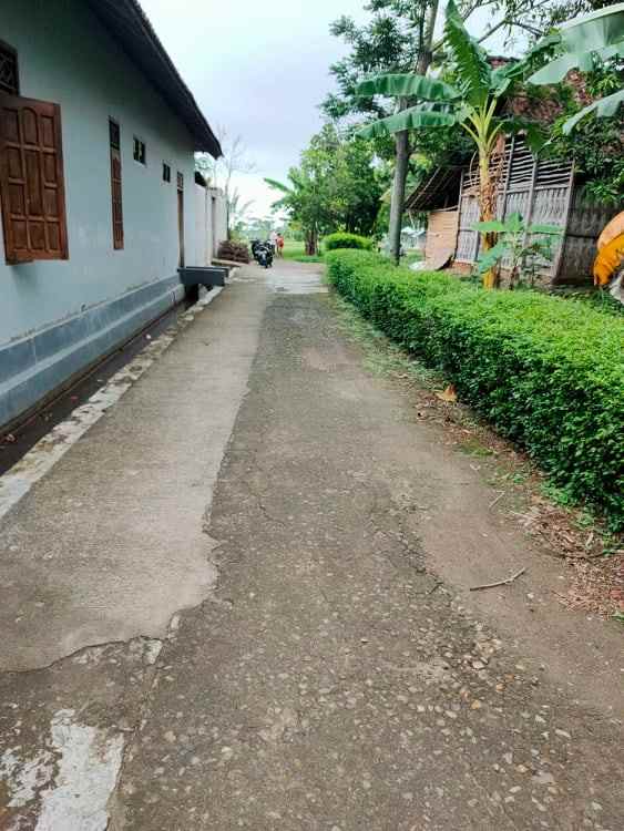 tanah kedawung sragen