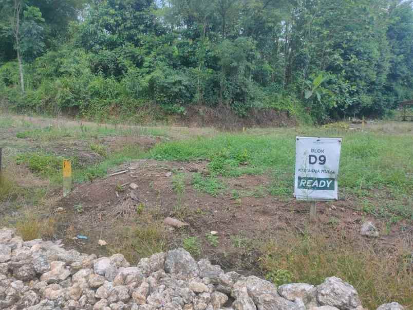 tanah kp cibadak ciampea bogor