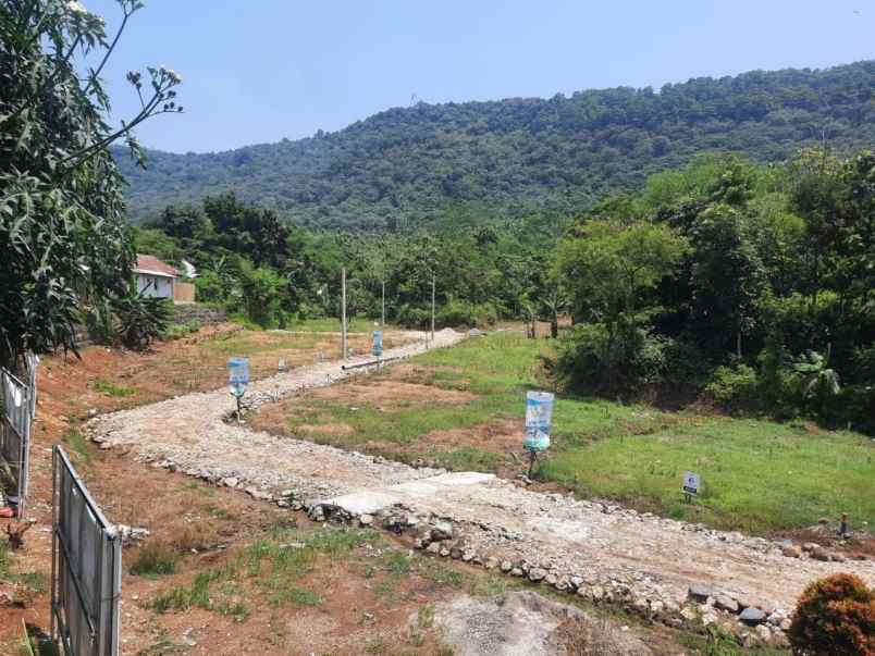 tanah kp cibadak ciampea bogor