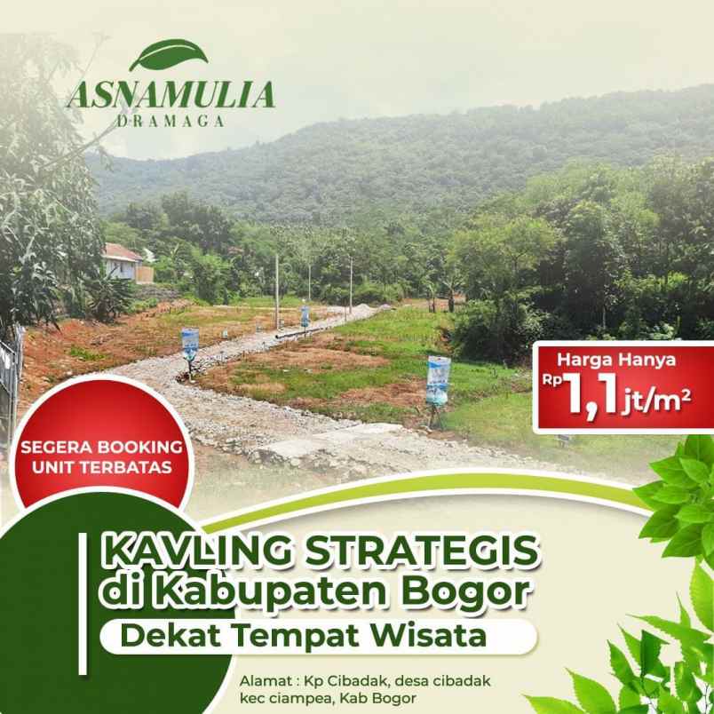 tanah kp cibadak ciampea bogor