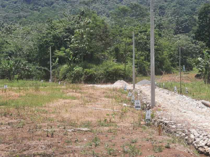 tanah kp cibadak ciampea bogor