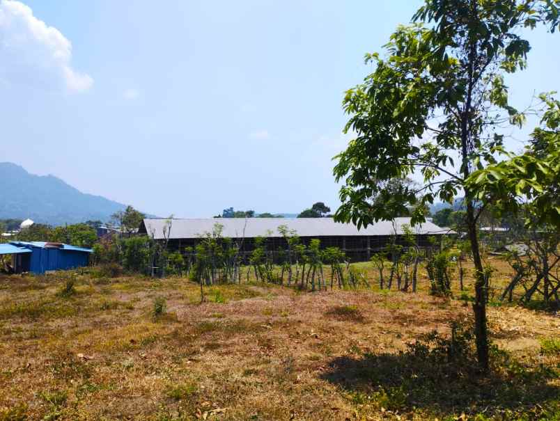 tanah pekarangan trawas depan caf suwon camp